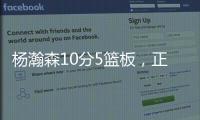 快排公司十年历程，霸屏兔 seo 的崛起与坚守