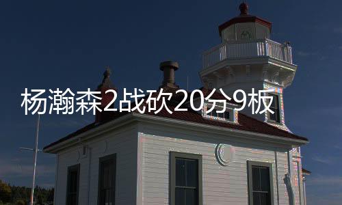 约基奇有传球有策应