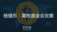 杨维东：高校基金会发展需要超越简单的筹资概念