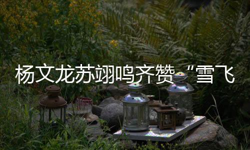 齐赞赛后杨文龙表示