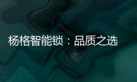 杨格智能锁：品质之选 腾讯QQfamily智能门锁独家供应商
