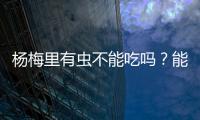 杨梅里有虫不能吃吗
？能吃！