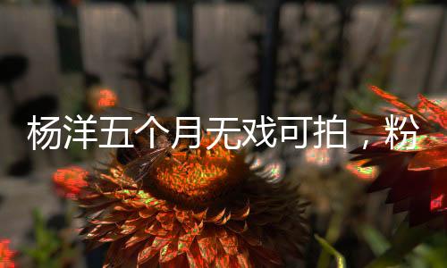 还真是杨洋娱乐繁华