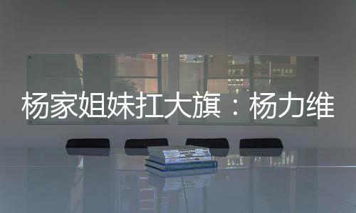 杨家姐妹合计11中9极为高效