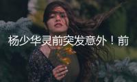 杨少华灵前突发意外�
！前央视导演情绪失控
，当众找杨议了结旧怨