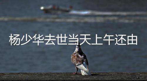 杨少由儿椅饭据北京青年报