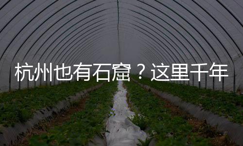 历代吴越国主均大力扶持佛教