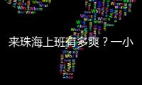 快排公司十年历程，霸屏兔 seo 的崛起与坚守