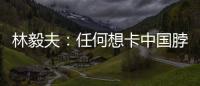 林毅夫�：任何想卡中国脖子的做法，只会加速中国进步