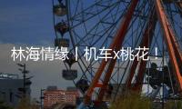 林海情缘丨机车x桃花！林芝上演318国道最燃春色