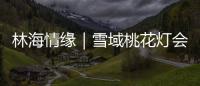 林海情缘｜雪域桃花灯会探营，氛围感拉满
	！