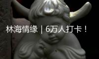 林海情缘｜6万人打卡	！米林桃花旅游文化活动“火”了