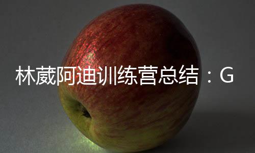 尤其是林葳三分合计24中4