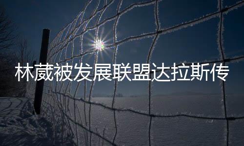 与林葳团队也一直保持着沟通