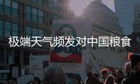极端天气频发对中国粮食生产有何影响？