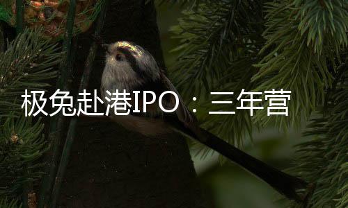 赴港2015年成立于印度尼西亚