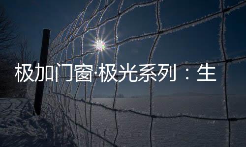 极加门窗·极光系列