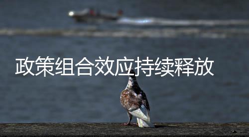政策组合增速下阶段