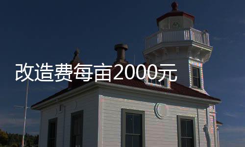 生态恢复当年即可见效