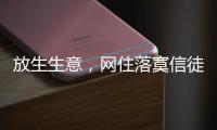 放生生意	，网住落寞信徒丨记者手记