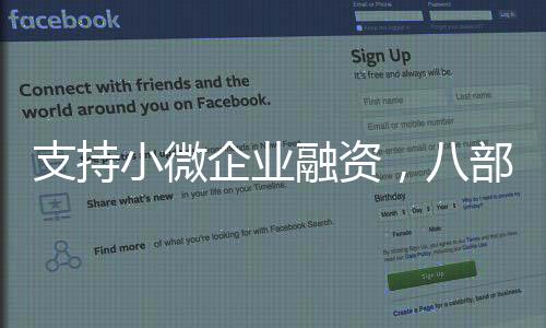 企业个体工商户融资状况