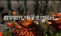 数字时代/电子支付风行内地：用过谁愿放手