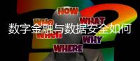 数字金融与数据安全如何兼得？｜2023新金融发展报告②