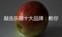 敲击乐器十大品牌：教你保养小提琴