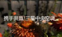 快排公司十年历程，霸屏兔 seo 的崛起与坚守