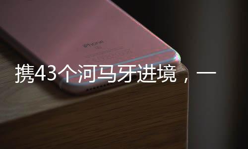境男将被依法追究刑事责任