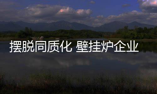壁挂炉企业陷入发展死循环