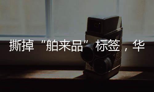 水槽式、舶来品今年上半年