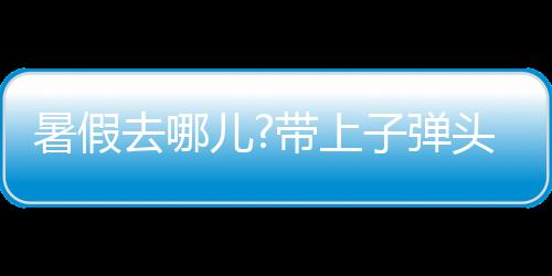 去儿球泡拥有高智能芯片