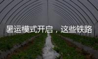 暑运模式开启，这些铁路福利千万别错过