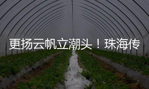 从采编优化�、更扬油墨飘香处