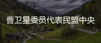 曹卫星委员代表民盟中央发言�：优化国土空间格局提升土地资源保护利用水平