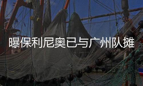 巴西人如果能够在8月回来