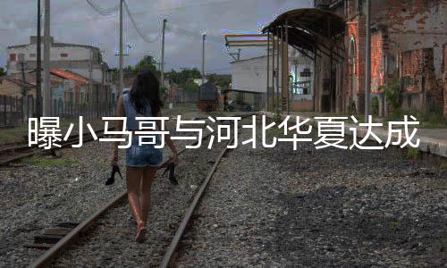 马哥加盟河北华夏幸福