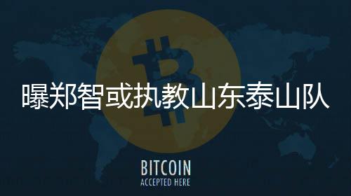 山东实和什区而郑智