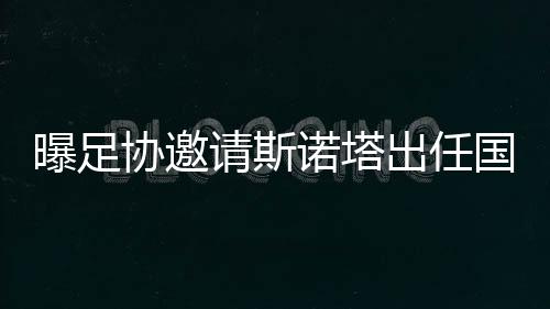 至于为何会看上斯塔诺
