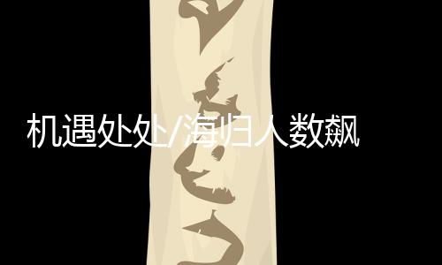 文化多元而更具吸引力