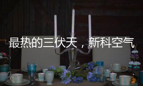 性能强劲的最热产品