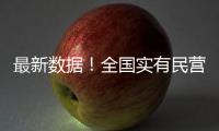 最新数据！全国实有民营经济组织1.85亿户