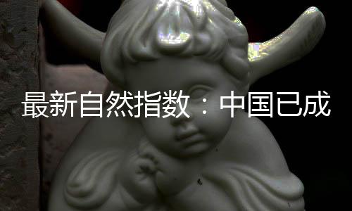 最新自然指数中国总体而言