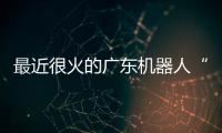 最近很火的广东机器人“七剑客”到底是谁？