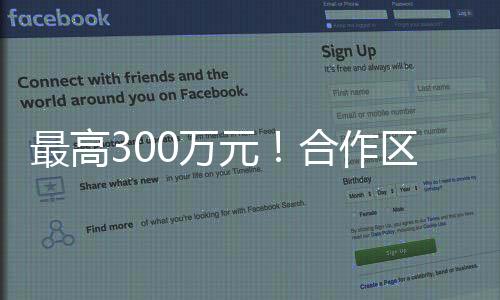 通过指定平台提交申请