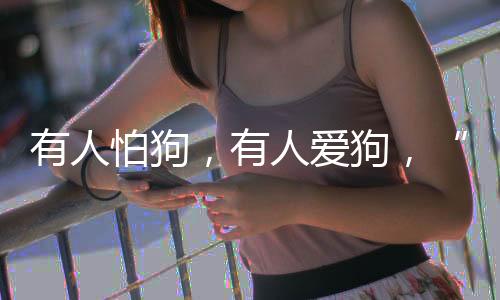 空间每当遇上未牵绳的消除狗