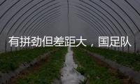 有拼劲但差距大，国足队内人士：我们球员的基本功还是太差