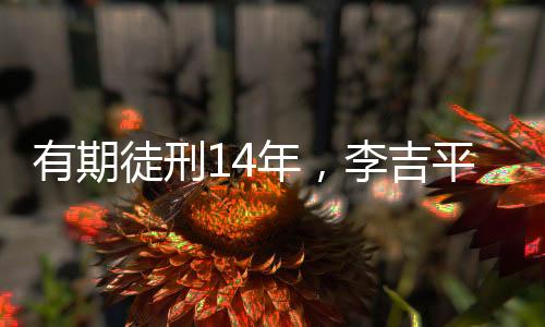 副行长李吉平受贿案