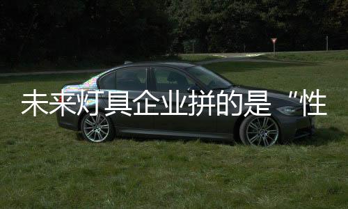 主要还是未灯取决于售后服务